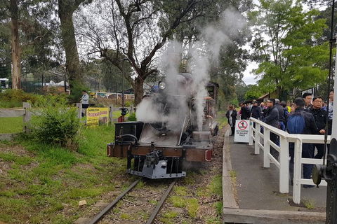 Day Tour Of Yarra Valley Puffing Billy And Rayners Orchard - Attractions 43
