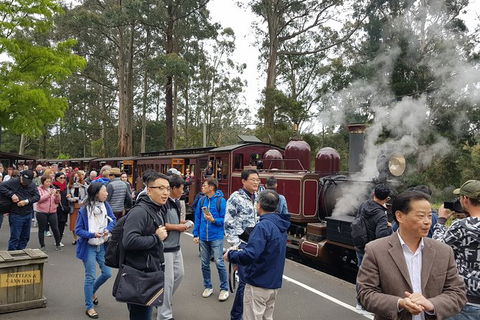 Day Tour Of Yarra Valley Puffing Billy And Rayners Orchard - Attractions 12
