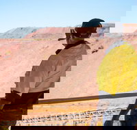 Purnululu Scenic with Argyle Diamond Mine Ground Tour - Attractions Las Vegas