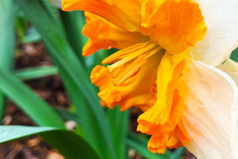 Spring Wildflower (Private) Day Tours - Attractions 16