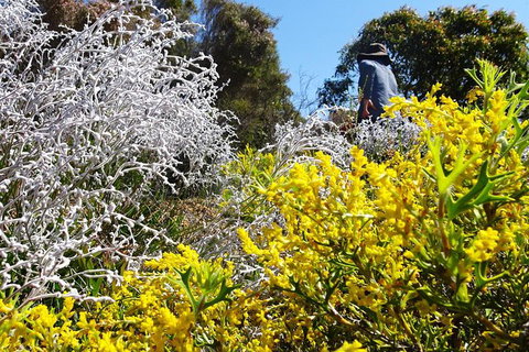 Spring Wildflower (Private) Day Tours - Attractions 15