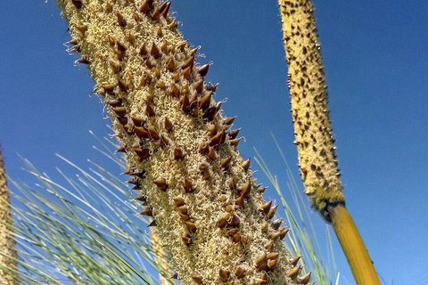 Spring Wildflower (Private) Day Tours - Attractions 9