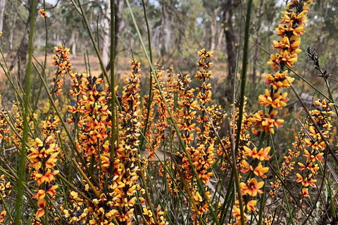 Spring Wildflower (Private) Day Tours - Attractions 25