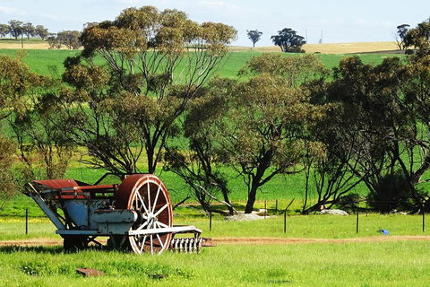 Spring Wildflower (Private) Day Tours - Attractions 47