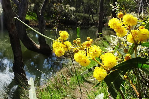 Spring Wildflower (Private) Day Tours - Attractions 26