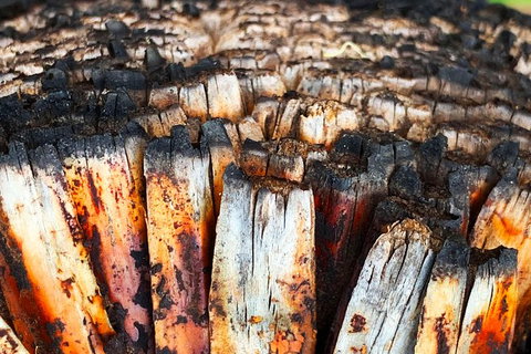 Spring Wildflower (Private) Day Tours - Attractions 12