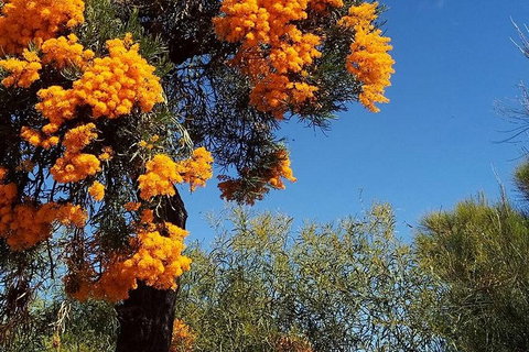 Spring Wildflower (Private) Day Tours - Attractions 42