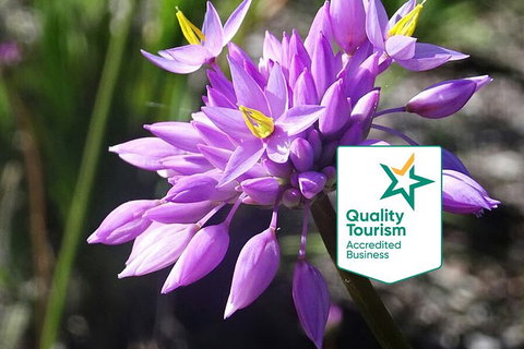 Spring Wildflower (Private) Day Tours - Attractions 0