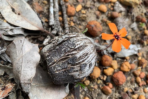 Spring Wildflower (Private) Day Tours - Attractions 3