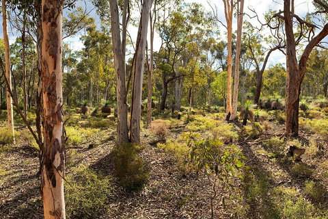 Spring Wildflower (Private) Day Tours - Attractions 10