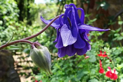 Spring Wildflower (Private) Day Tours - Attractions 11