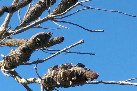 Spring Wildflower (Private) Day Tours - Attractions 8