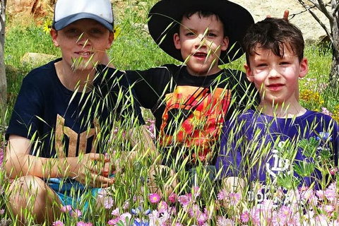 Spring Wildflower (Private) Day Tours - Attractions 30