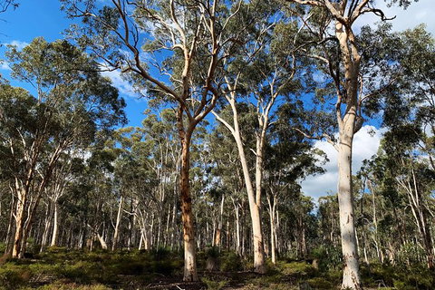 Spring Wildflower (Private) Day Tours - Attractions 17