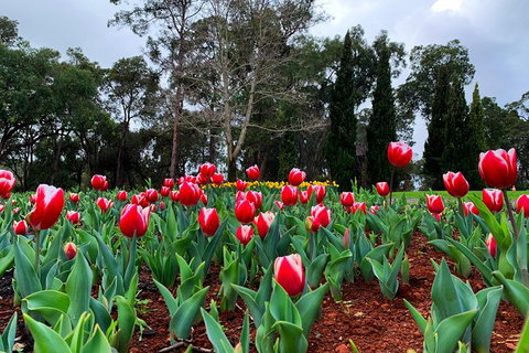 Spring Wildflower (Private) Day Tours - Attractions 22