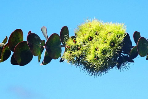 Spring Wildflower (Private) Day Tours - Attractions 41