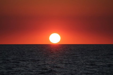 Roebuck Bay Snubfin Dolphin Cruise - Attractions 1