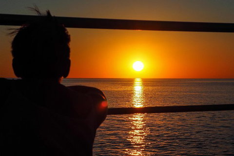 Roebuck Bay Snubfin Dolphin Cruise - Attractions 4