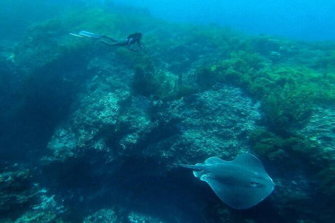 Rottnest Island Dive & Snorkel Day Trips - Attractions 3