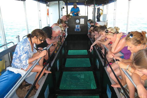 Coral Bay 1-Hour Coral Viewing - Attractions 3