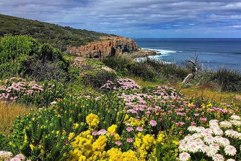 Guided Walks On The Cape To Cape - Moses Rock To Ellenbrook - Attractions 0