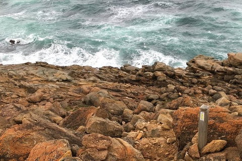 Guided Walks On The Cape To Cape - Moses Rock To Ellenbrook - Attractions 1