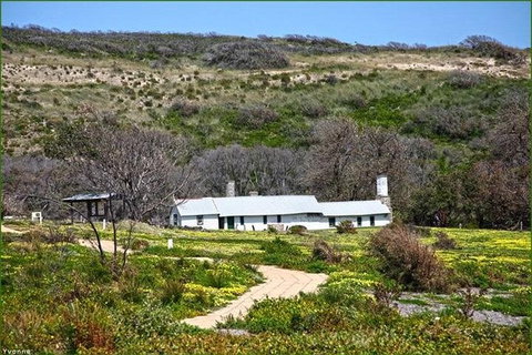 Guided Walks On The Cape To Cape - Moses Rock To Ellenbrook - Attractions 2