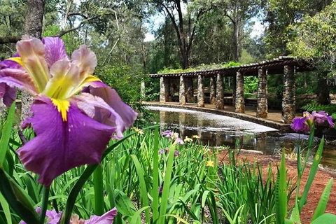 Perth Hills Explorer (Private) Day Tour - Attractions 35