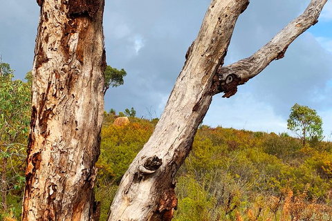 Perth Hills Explorer (Private) Day Tour - Attractions 36