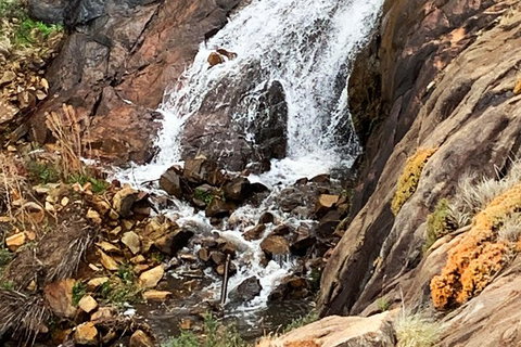 Perth Hills Explorer (Private) Day Tour - Attractions 19