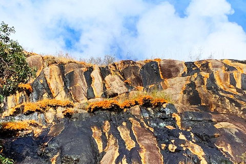 Perth Hills Explorer (Private) Day Tour - Attractions 2