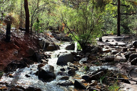 Perth Hills Explorer (Private) Day Tour - Attractions 13