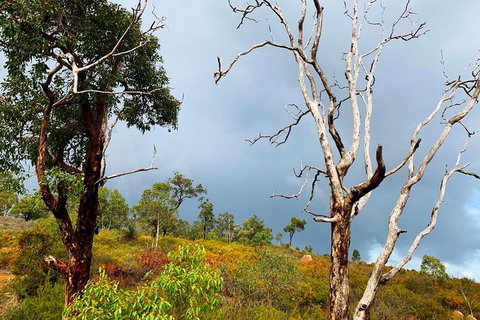 Perth Hills Explorer (Private) Day Tour - Attractions 33