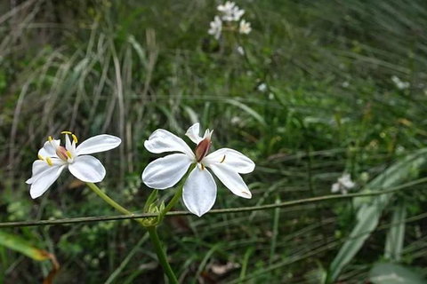 Perth Hills Explorer (Private) Day Tour - Attractions 30