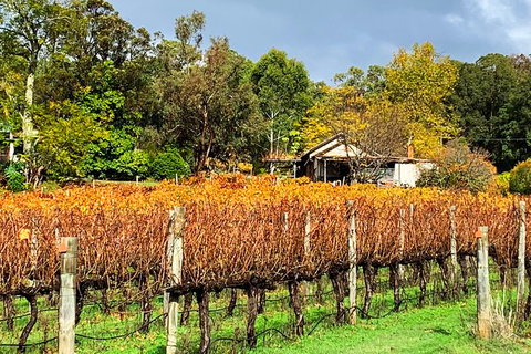 Perth Hills Explorer (Private) Day Tour - Attractions 32