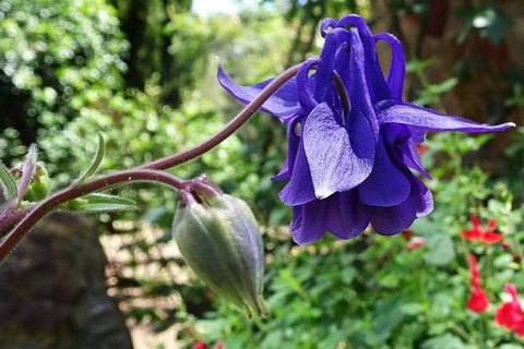 Perth Hills Explorer (Private) Day Tour - Attractions 31