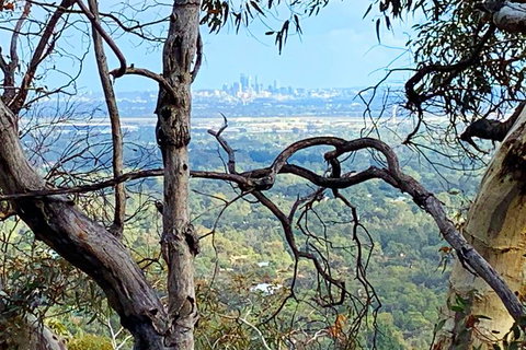 Perth Hills Explorer (Private) Day Tour - Attractions 7