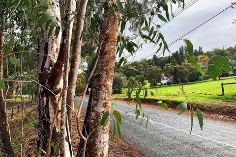 Perth Hills Explorer (Private) Day Tour - Attractions 28