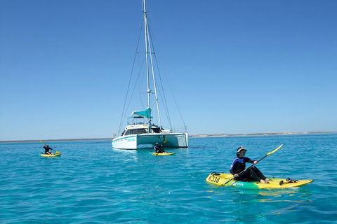 5 Night Ningaloo Reef Ningaloo Escape From Coral Bay - Attractions 0