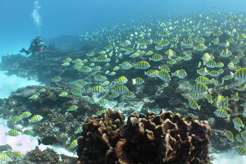 5 Night Ningaloo Reef Ningaloo Escape From Coral Bay - Attractions 5