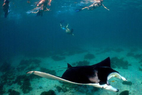 5 Night Ningaloo Reef Ningaloo Escape From Coral Bay - Attractions 1