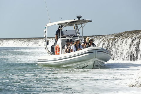 Cygnet Bay Explorer - Attractions 8