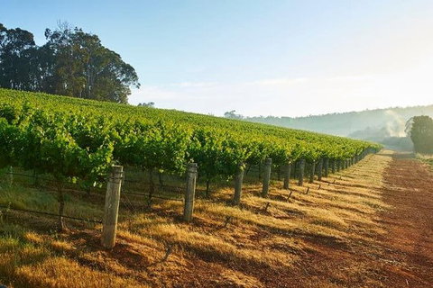 Botanical Gardens, Winery And Scenic Full Day Tour - Attractions Las Vegas 2