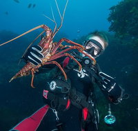 Rottnest Island Deep Dive Day Trips - Attractions