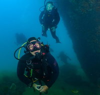 Scuba Dive The Beautiful Rottnest Island - Attractions