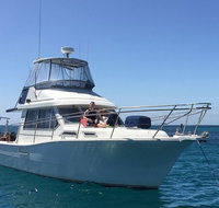 Single Boat Dive - Attractions