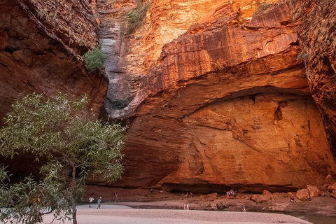 Bungles Day Trek Extended (with Echidna Chasm) - Attractions 0