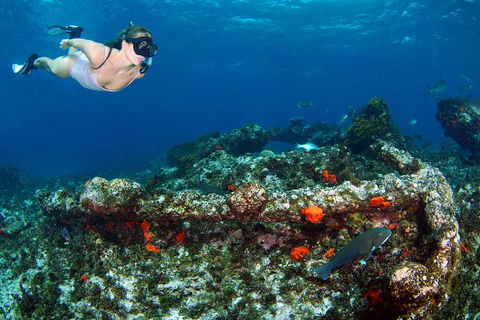 Abrolhos Islands 5 Day Tours - Attractions 3