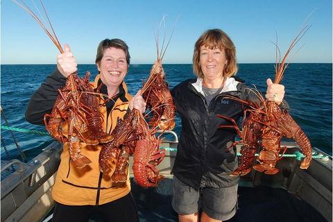 Abrolhos Islands 5 Day Tours - Attractions 0