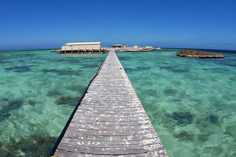 Abrolhos Islands 5 Day Tours - Attractions 4